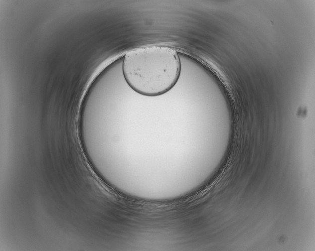 X0000096481324200801241138