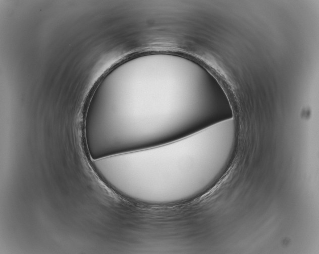 X0000096481325200801241138