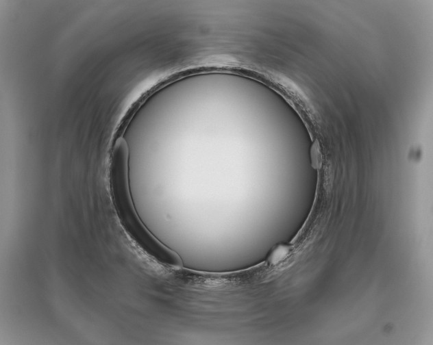 X0000096481326200801241138