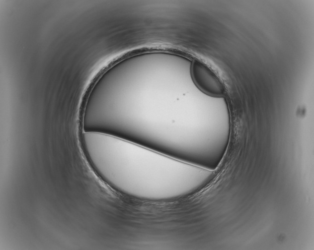 X0000096481327200801241138