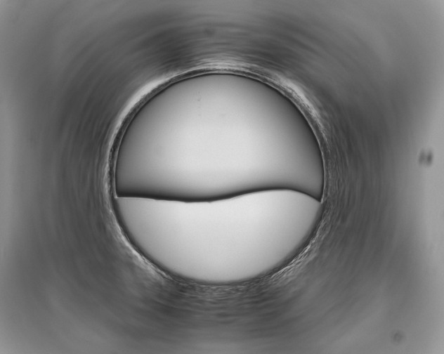 X0000096481331200801241138
