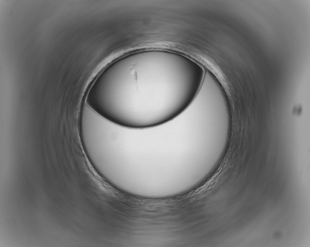 X0000096481332200801241138