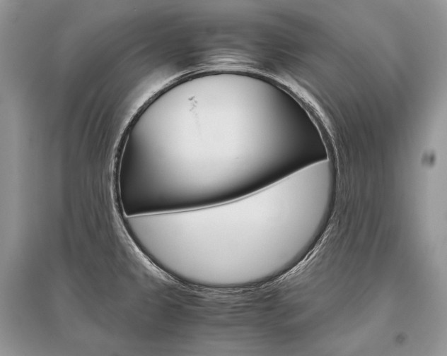 X0000096481333200801241138