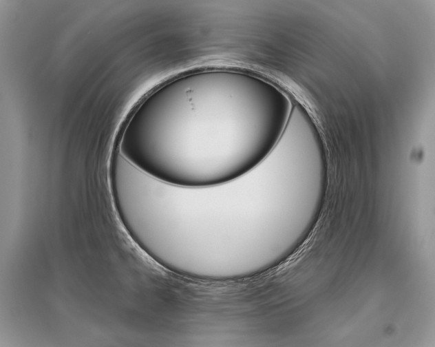 X0000096481334200801241138