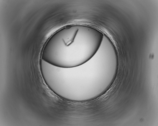 X0000096481336200801241138