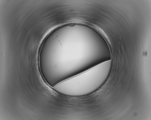 X0000096481339200801241138