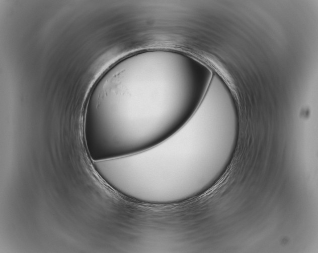 X0000096481340200801241138