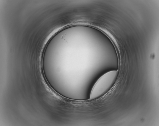 X0000096481341200801241138