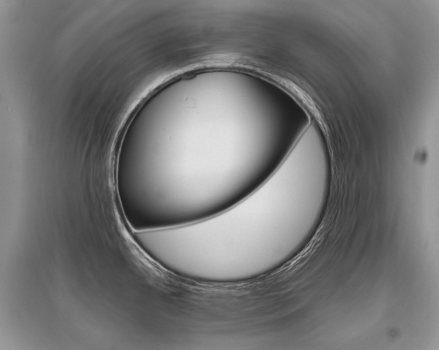 X0000096481342200801241138