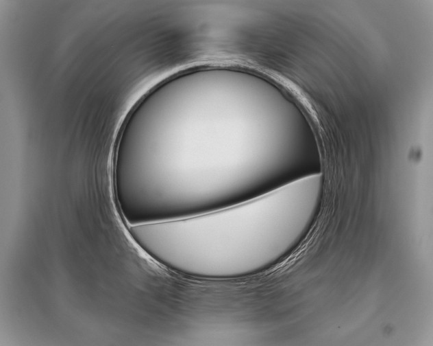 X0000096481343200801241138