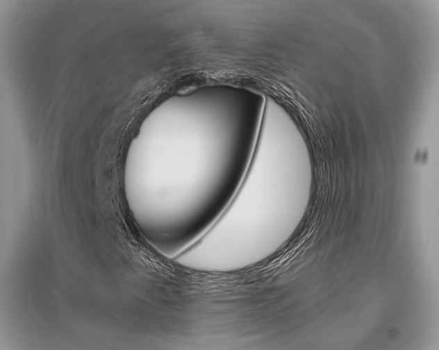 X0000096481345200801241137