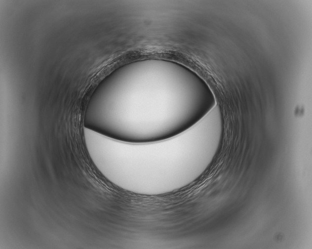 X0000096481348200801241137