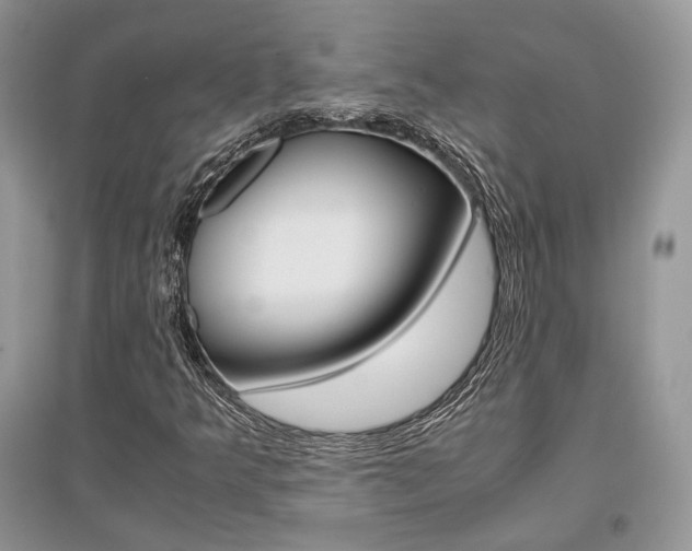 X0000096481349200801241137