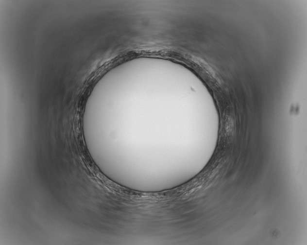 X0000096481350200801241137