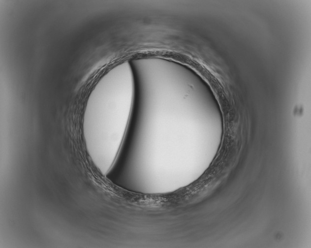 X0000096481351200801241137
