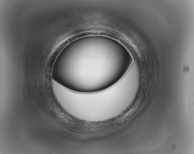 X0000096481352200801241137