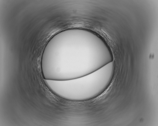 X0000096481353200801241137