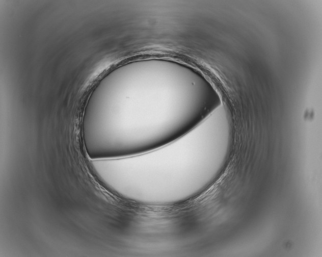 X0000096481355200801241137