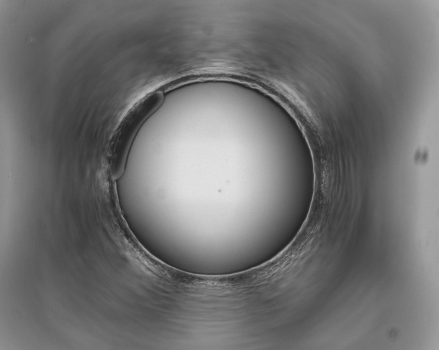 X0000096481356200801241137