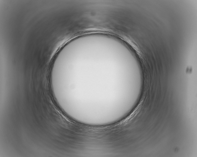 X0000096481357200801241137