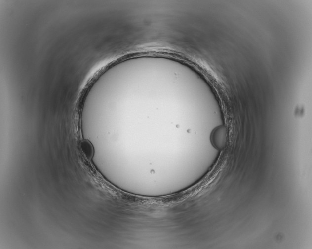 X0000096481358200801241137