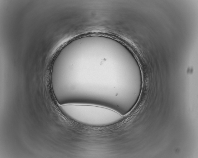 X0000096481359200801241137