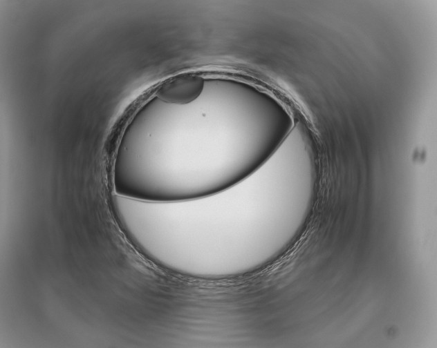 X0000096481360200801241137