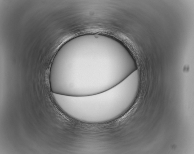 X0000096481361200801241137