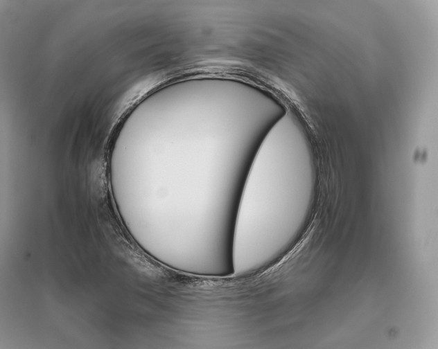 X0000096481362200801241137