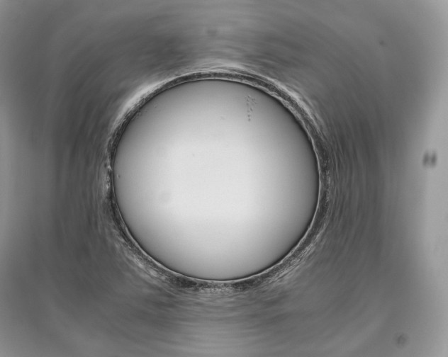 X0000096481363200801241137