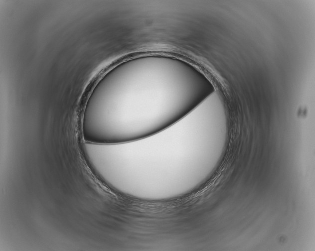 X0000096481364200801241137