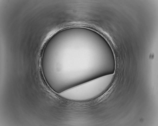 X0000096481365200801241137