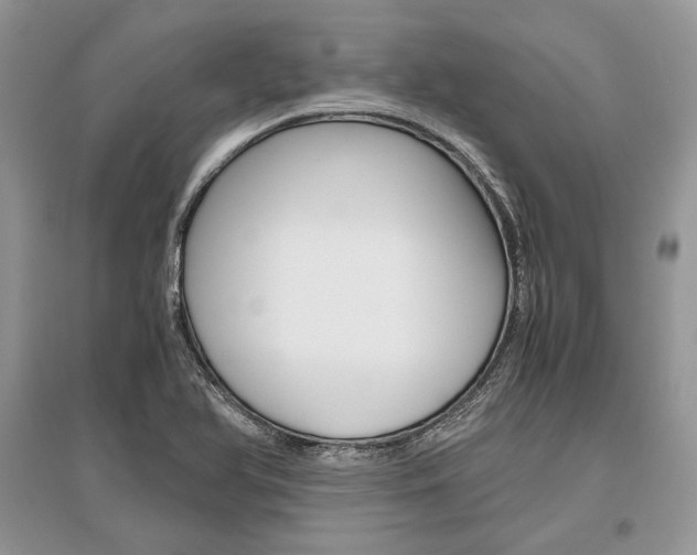 X0000096481366200801241137
