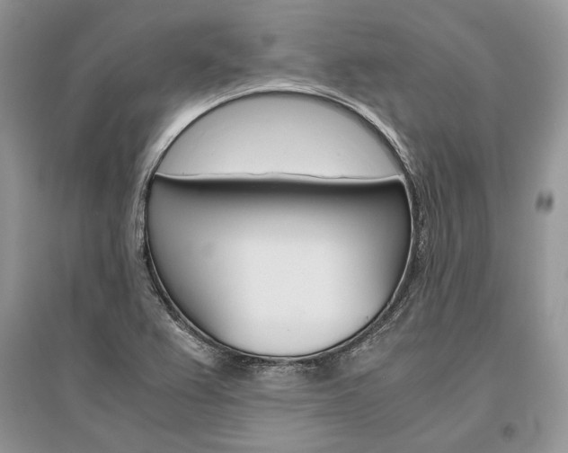 X0000096481367200801241137