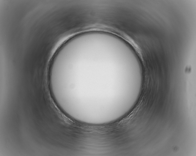 X0000096481368200801241137