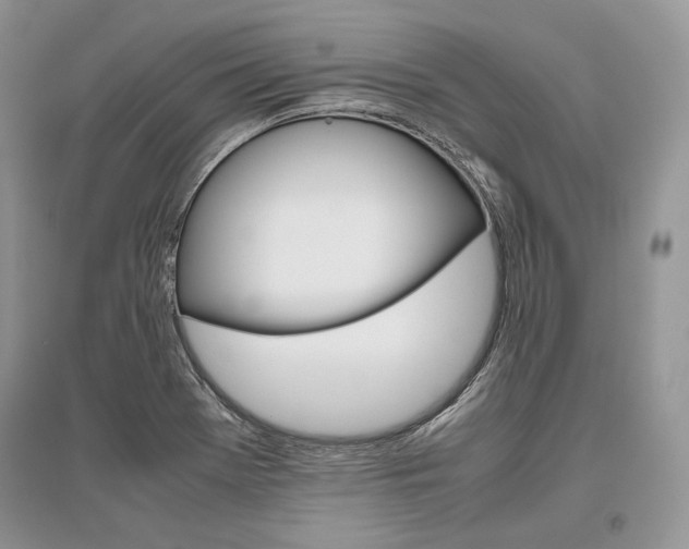 X0000096481369200801241137