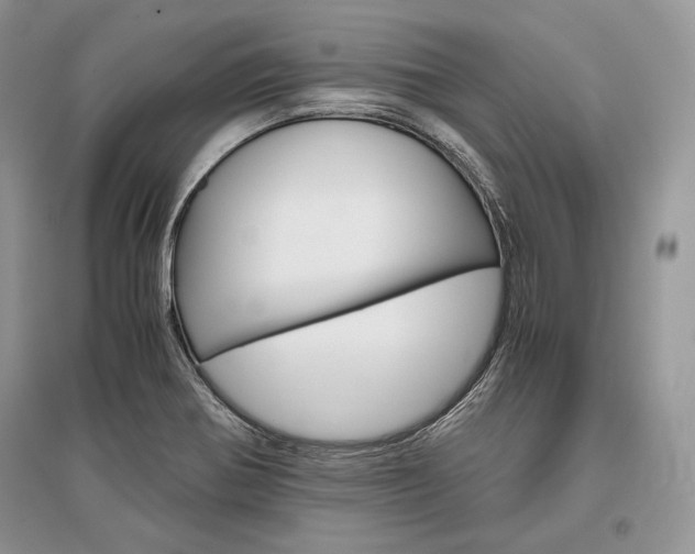 X0000096481370200801241137