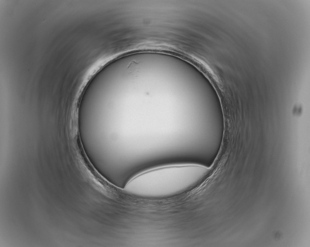 X0000096481371200801241137