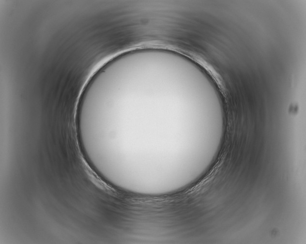 X0000096481372200801241137