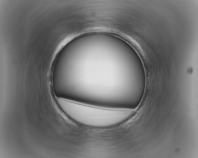 X0000096481373200801241137