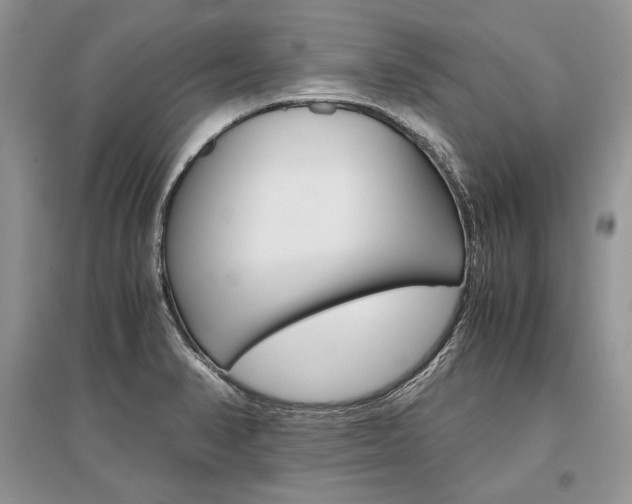 X0000096481374200801241137