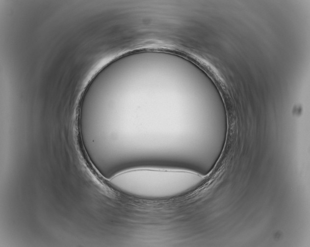 X0000096481375200801241137