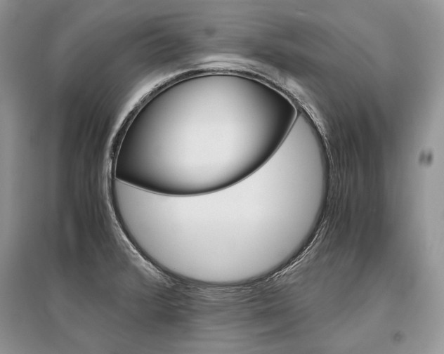X0000096481376200801241137