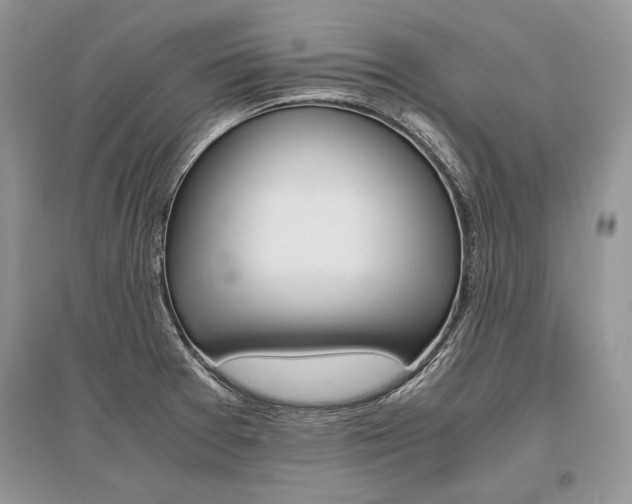 X0000096481377200801241137