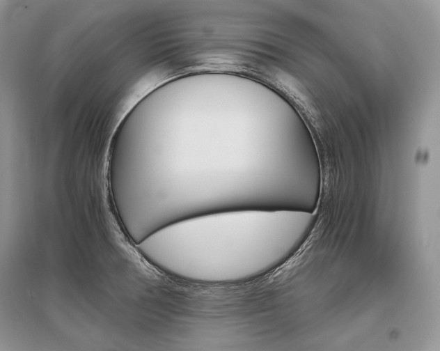 X0000096481378200801241137