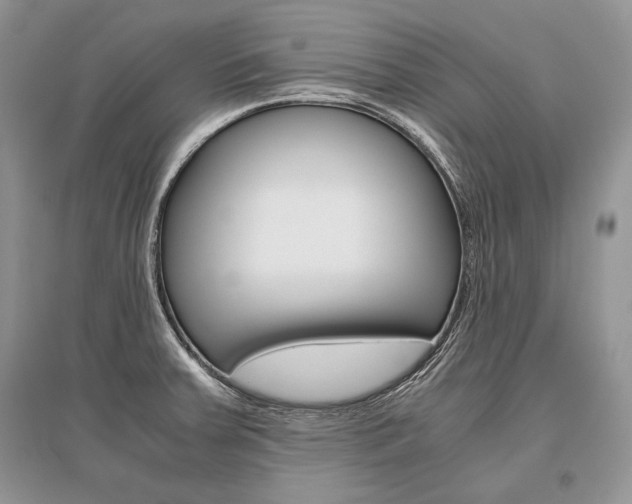 X0000096481379200801241137