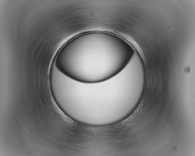 X0000096481380200801241137