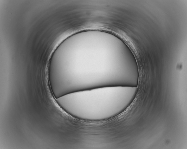 X0000096481382200801241137