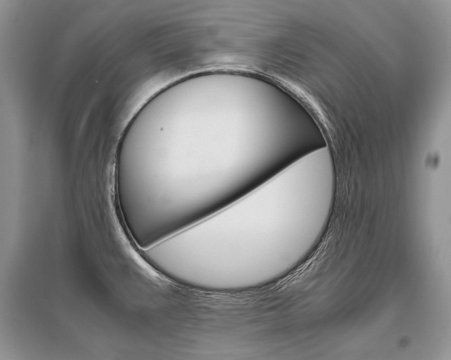 X0000096481383200801241137