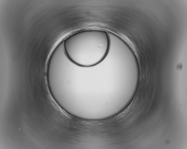 X0000096481384200801241137